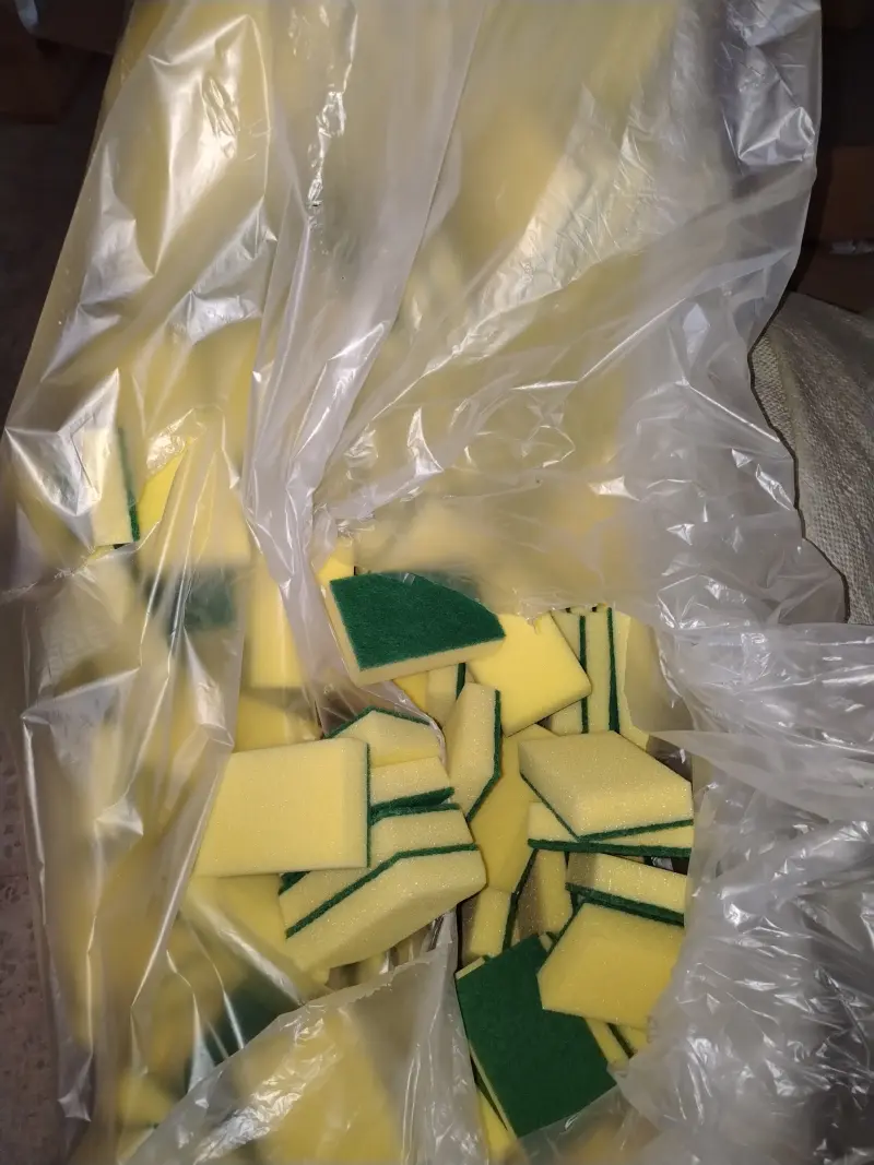 Sponges 1